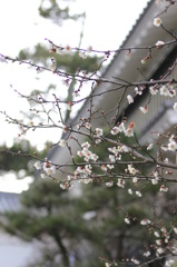 もうすぐ春