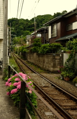 隙間を縫う線路