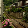 隙間を縫う線路