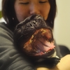 あくび･･･其の壱
