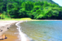 夏の回想