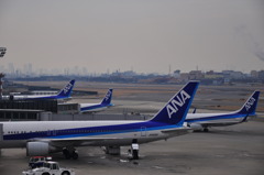 アナダラケ