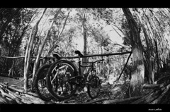 MTB