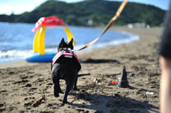 いざ、海へ！