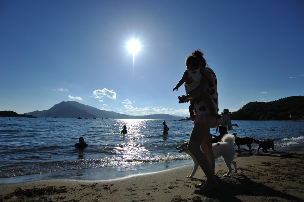 犬と海水浴