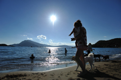 犬と海水浴