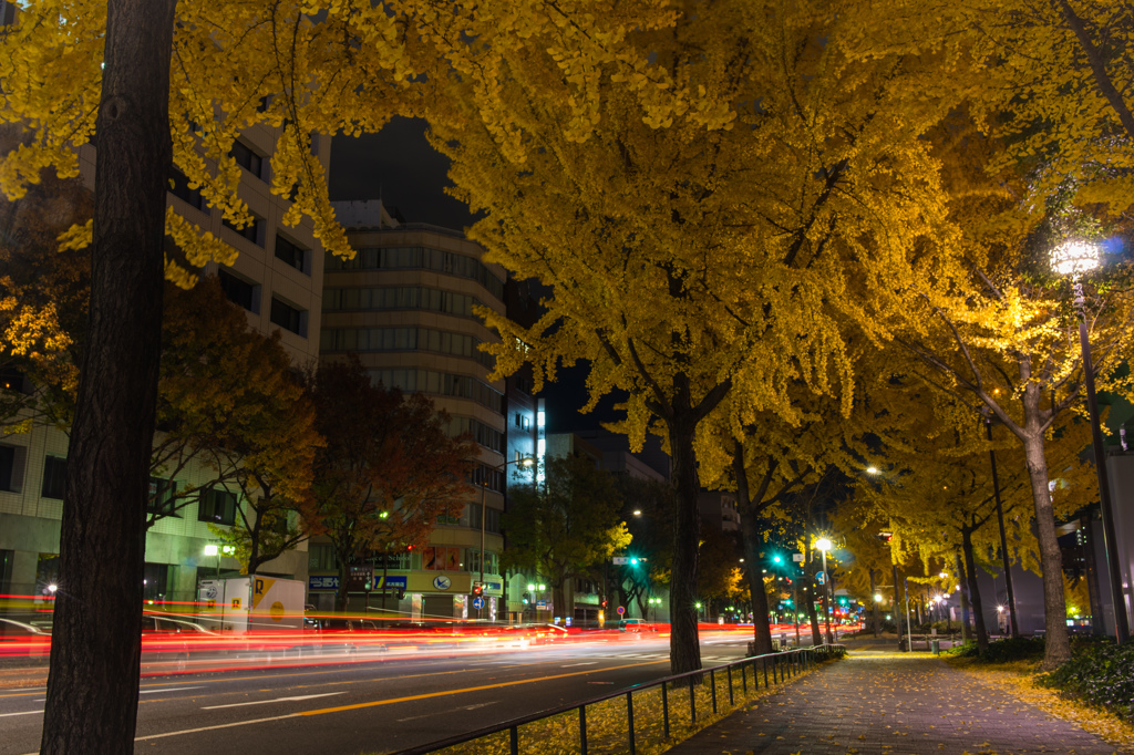 夜の散歩
