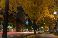 夜の散歩