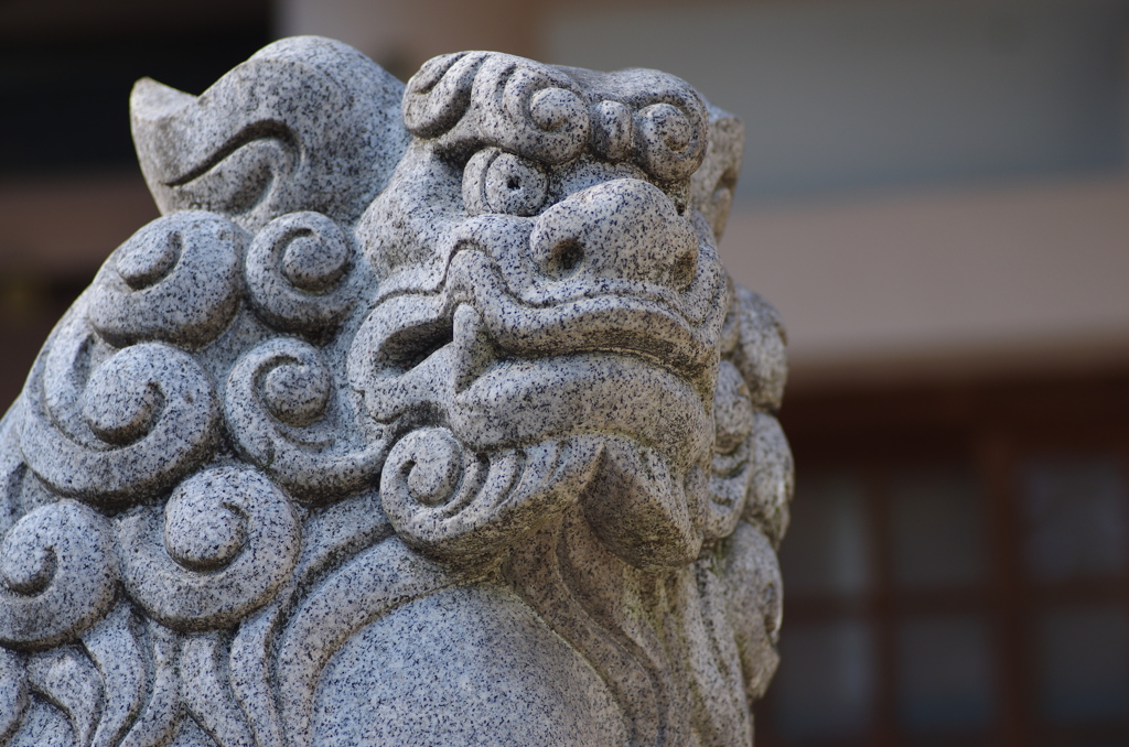 尾陽神社の狛犬