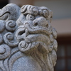 尾陽神社の狛犬