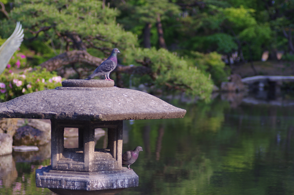 鶴舞公園