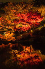 燃