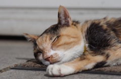 眠り