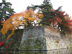 会津鶴ヶ城紅葉
