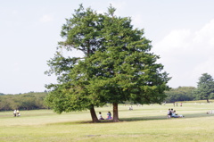 素敵な公園