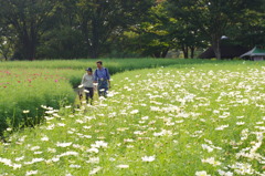 素敵な光景