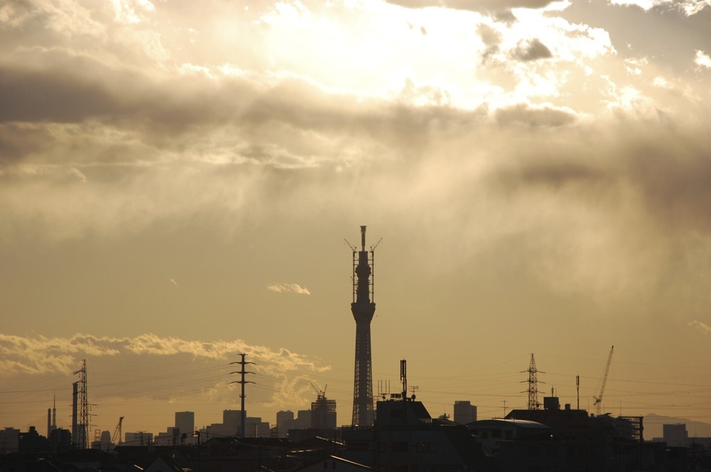 スカイツリー夕景