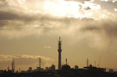 スカイツリー夕景