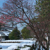 雪の屋島寺２