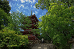 五台山　竹林寺