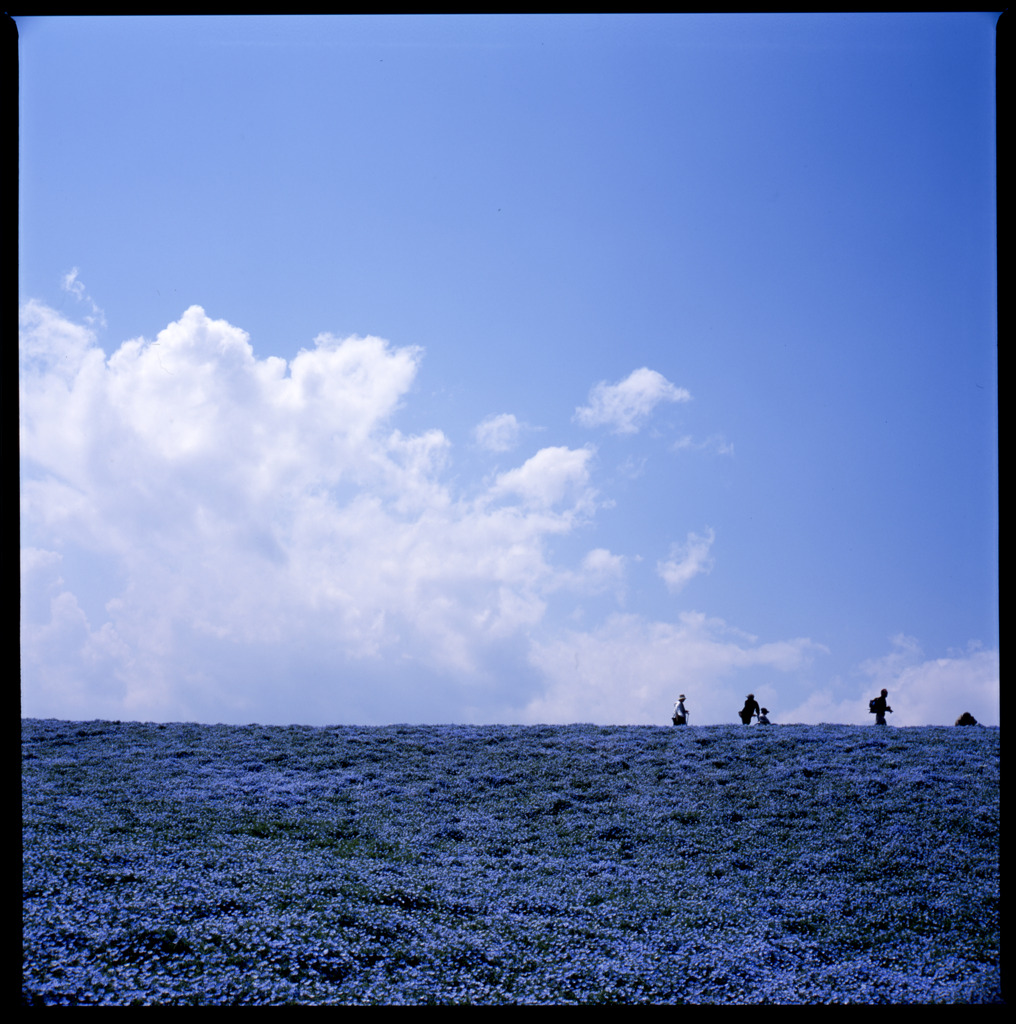 blue et blue