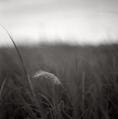 one