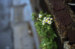 hope