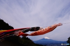 富士山と鯉のぼり
