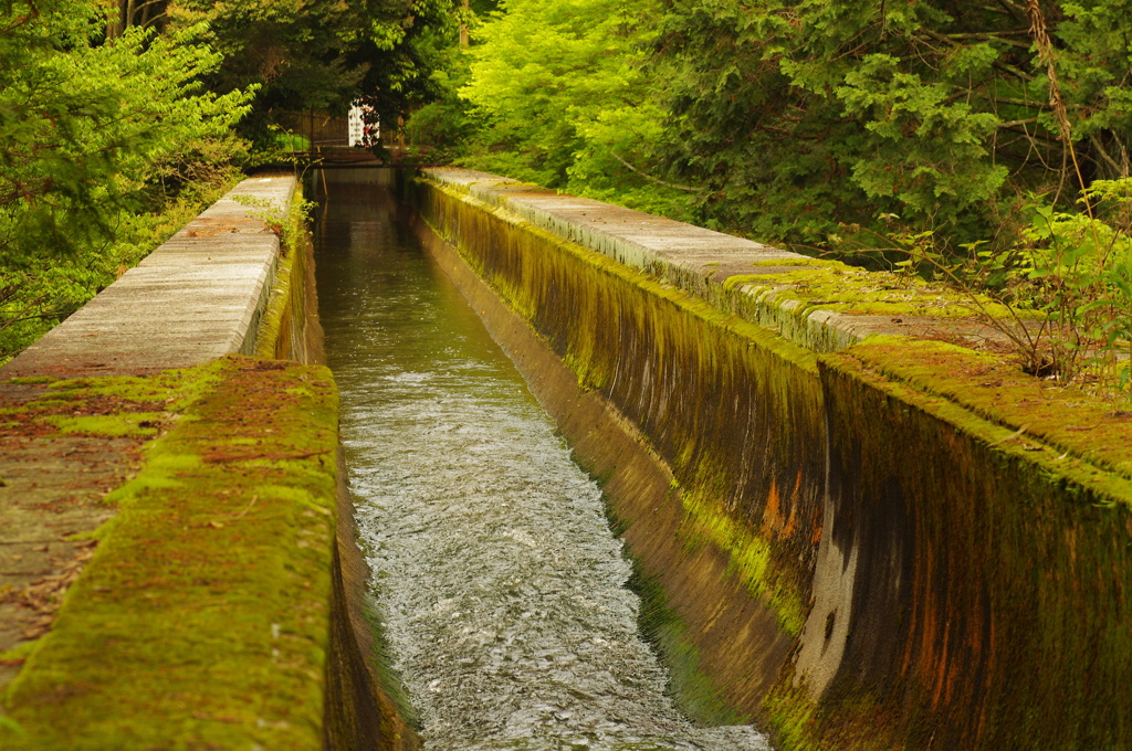 南禅寺水路閣