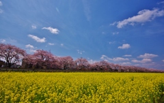 真岡鉄道①（昼）