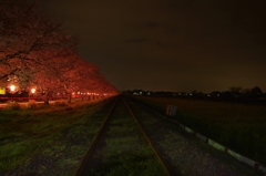 真岡鉄道（夜）②