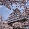 鶴ヶ城と桜⑤