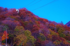 日光の紅葉