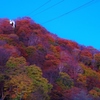 日光の紅葉