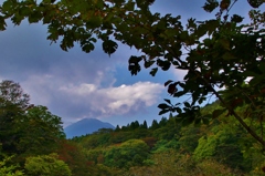 紅葉まで待ちきれないｗ