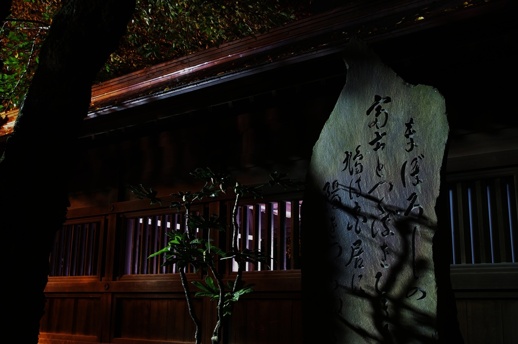 夜の二荒山神社