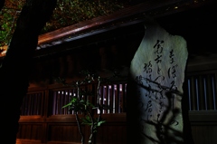 夜の二荒山神社