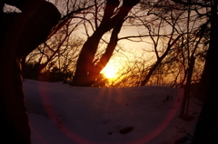 夕方
