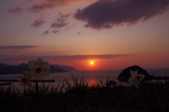 黄昏る花
