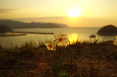 夕日に背を向けて