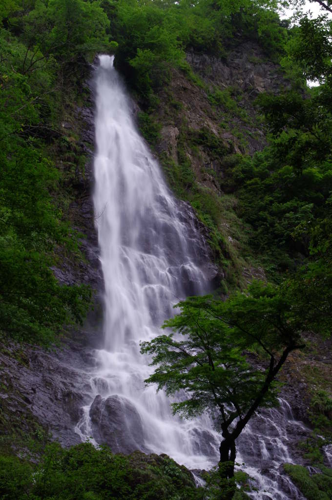 落差98mからの激流