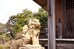 The Terainu