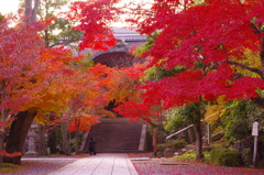 光明寺