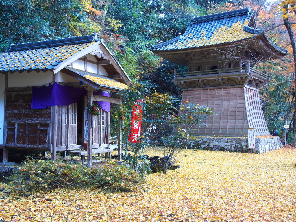 秋を感じる風景2