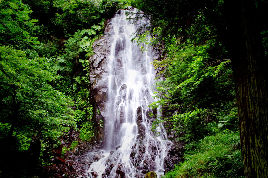 霧降りの滝