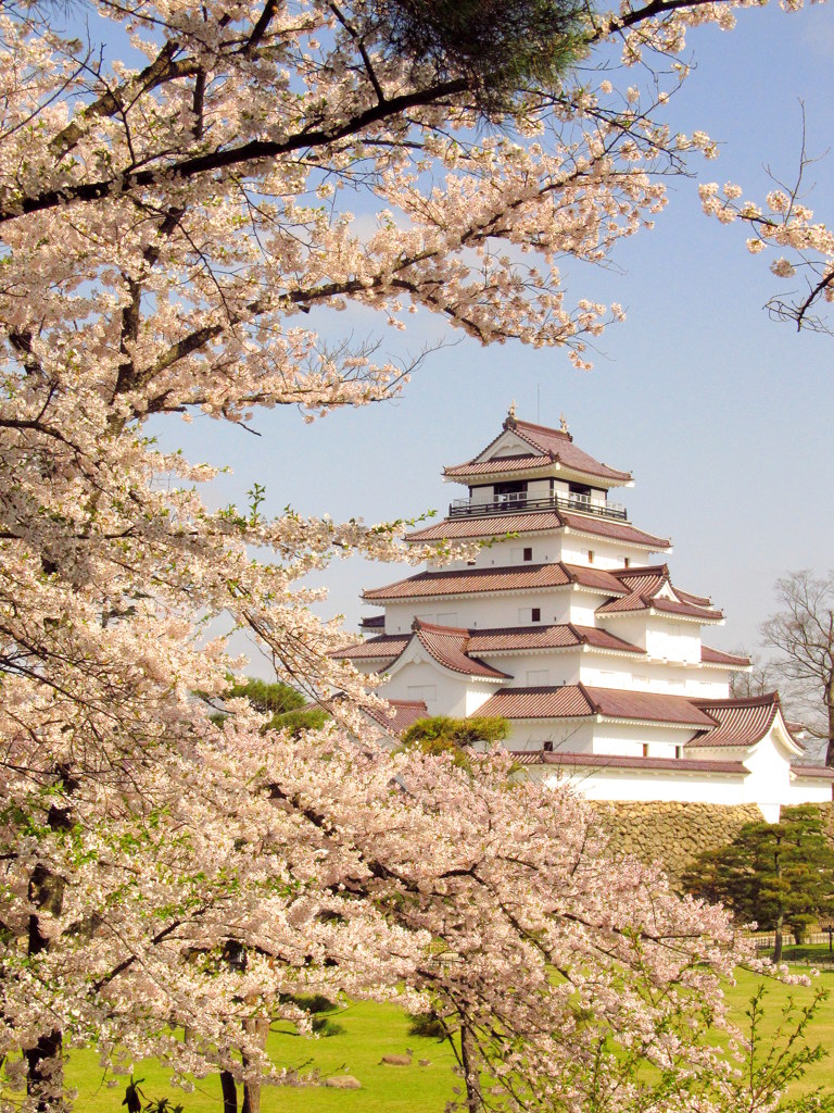 鶴ヶ城の桜