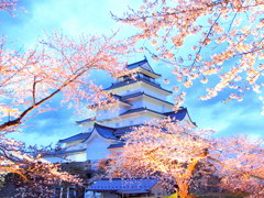 鶴ヶ城の桜　ライトアップ