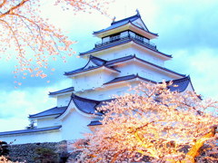 鶴ヶ城の桜　ライトアップ