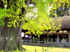 新宮熊野神社　長床