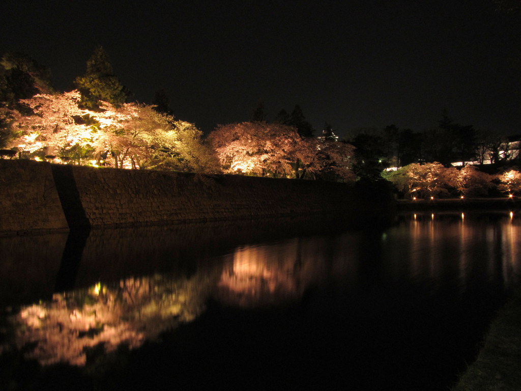 鶴ヶ城の夜桜